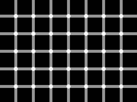 snowlomadar: funny wallpapers for computer