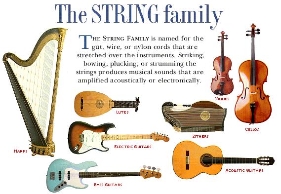 2 stringed instrument 2 stringed instrument