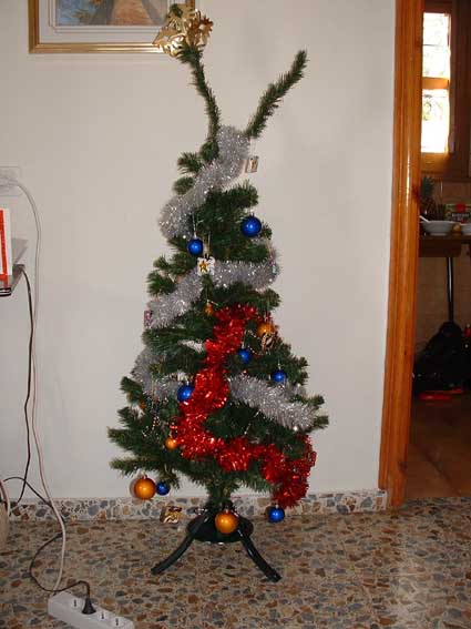 [tree.jpg]