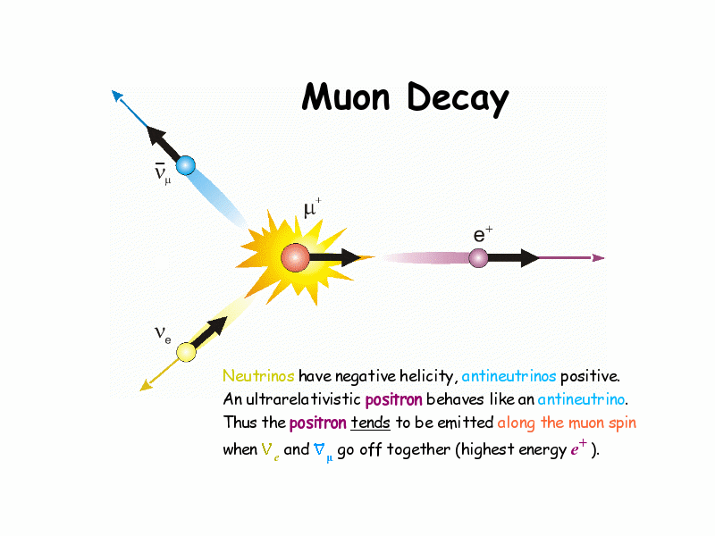 muon decay