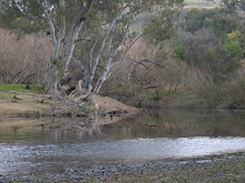 Mitta River