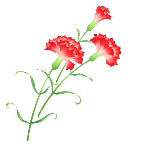 [carnation_transparent[1].gif]