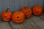 Four little pumpkins sitting on the deck...