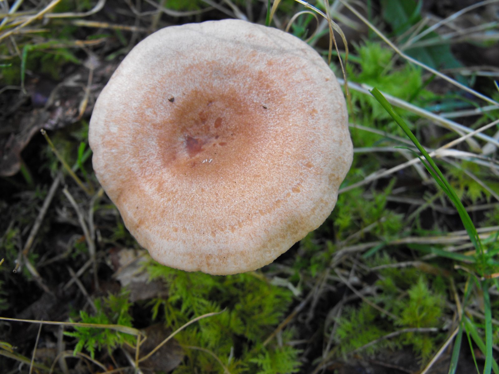 [DSCF0210.JPG]