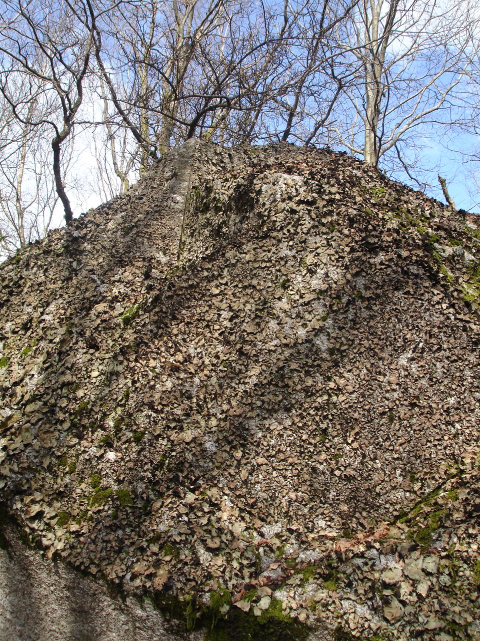 [DSC04278.JPG]