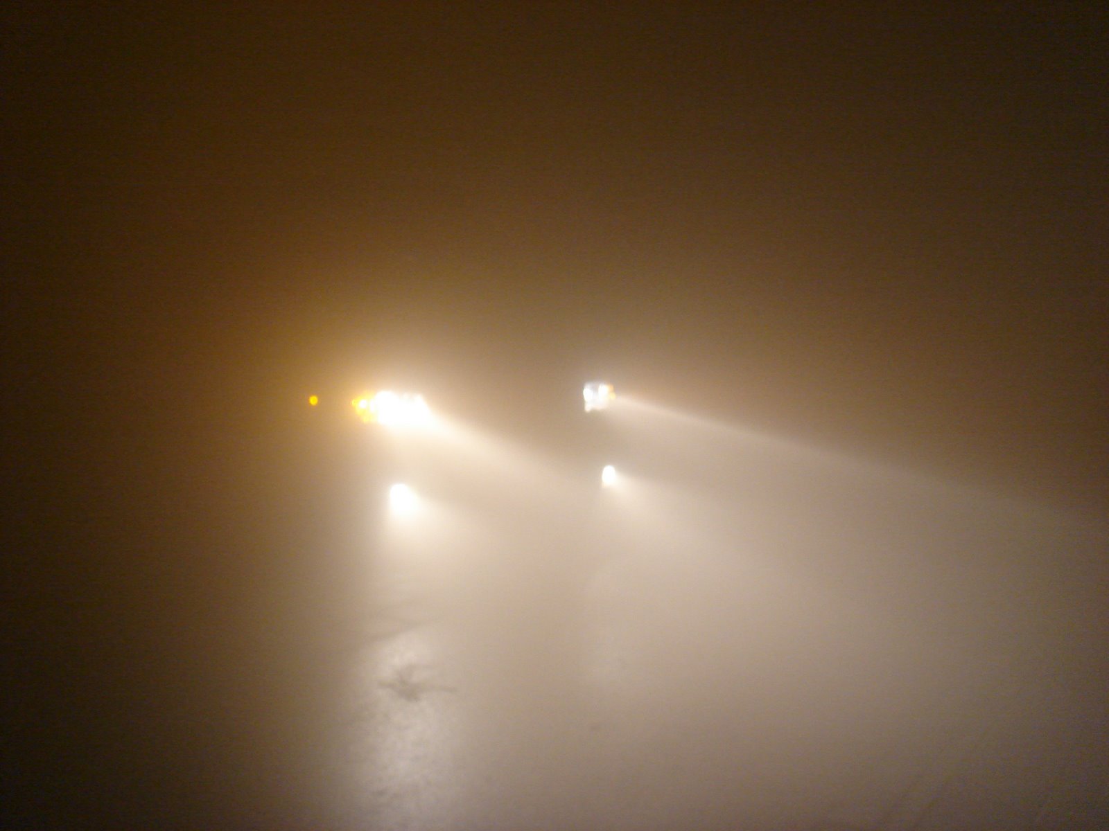 [DSC00111.JPG]