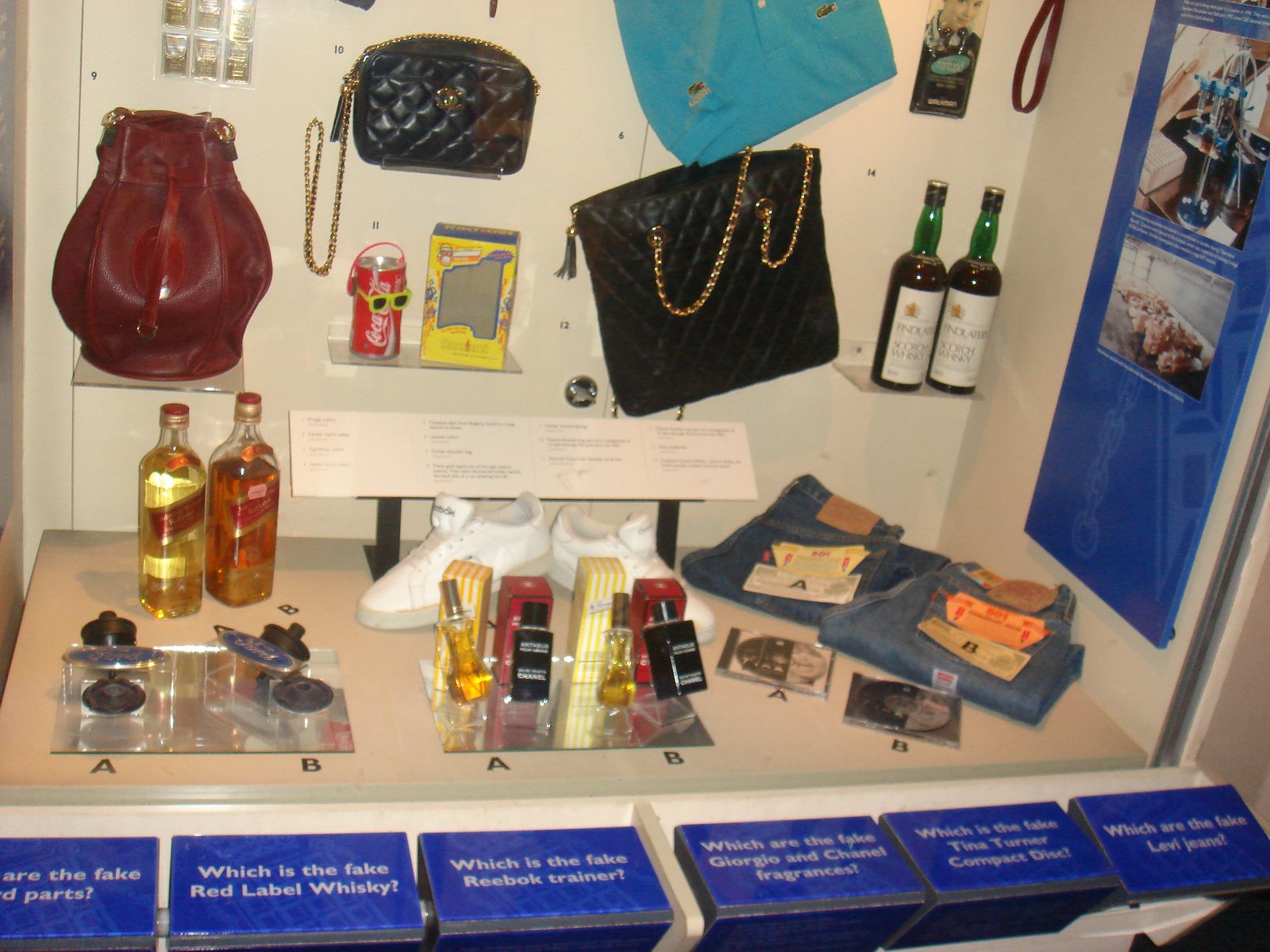 [DSC09315.JPG]