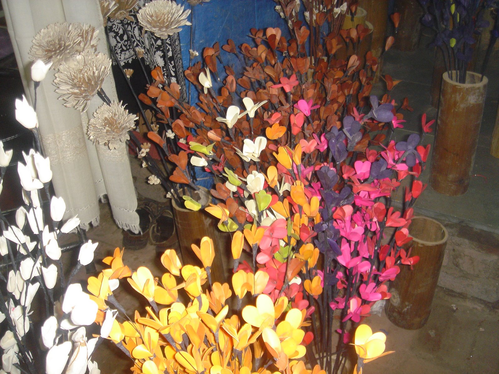 [DSC00292.JPG]