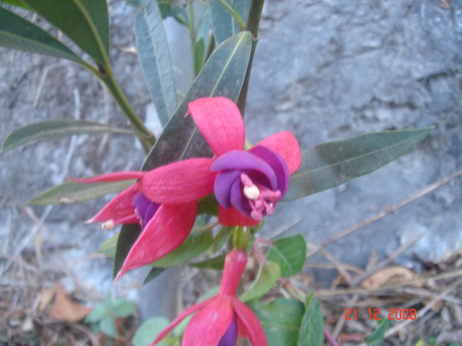 [DSC01028.JPG]