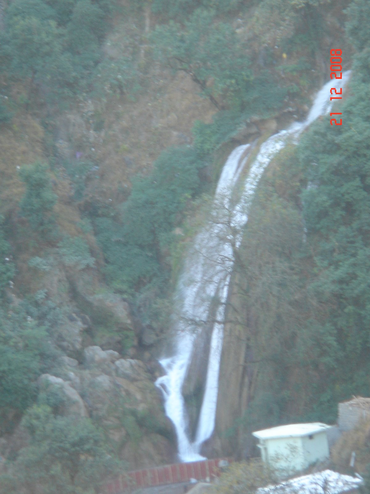 [DSC01171.JPG]
