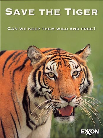 saving endangered animals essay saving endangered animals essay