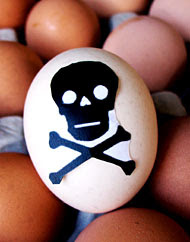 Ink & Paint Creative Writing Services: Rotten Eggs Ink & Paint Creative Writing Services: Rotten Eggs