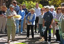 Promenade Tree Walk