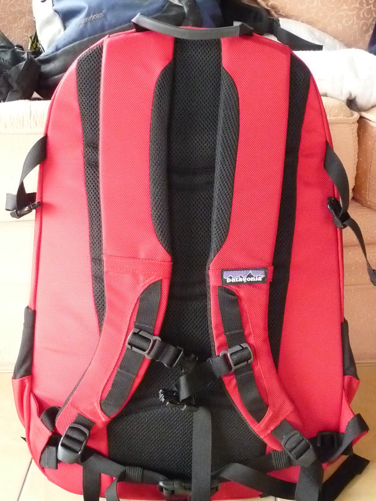 backpack with mesh back panel