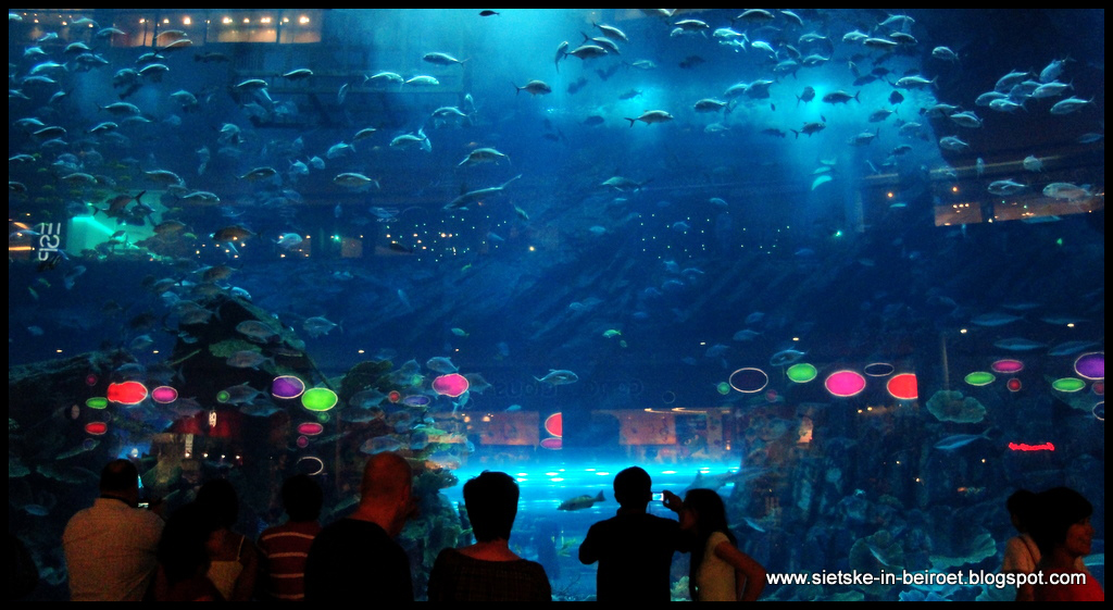 Dubai+mall+aquarium+broken