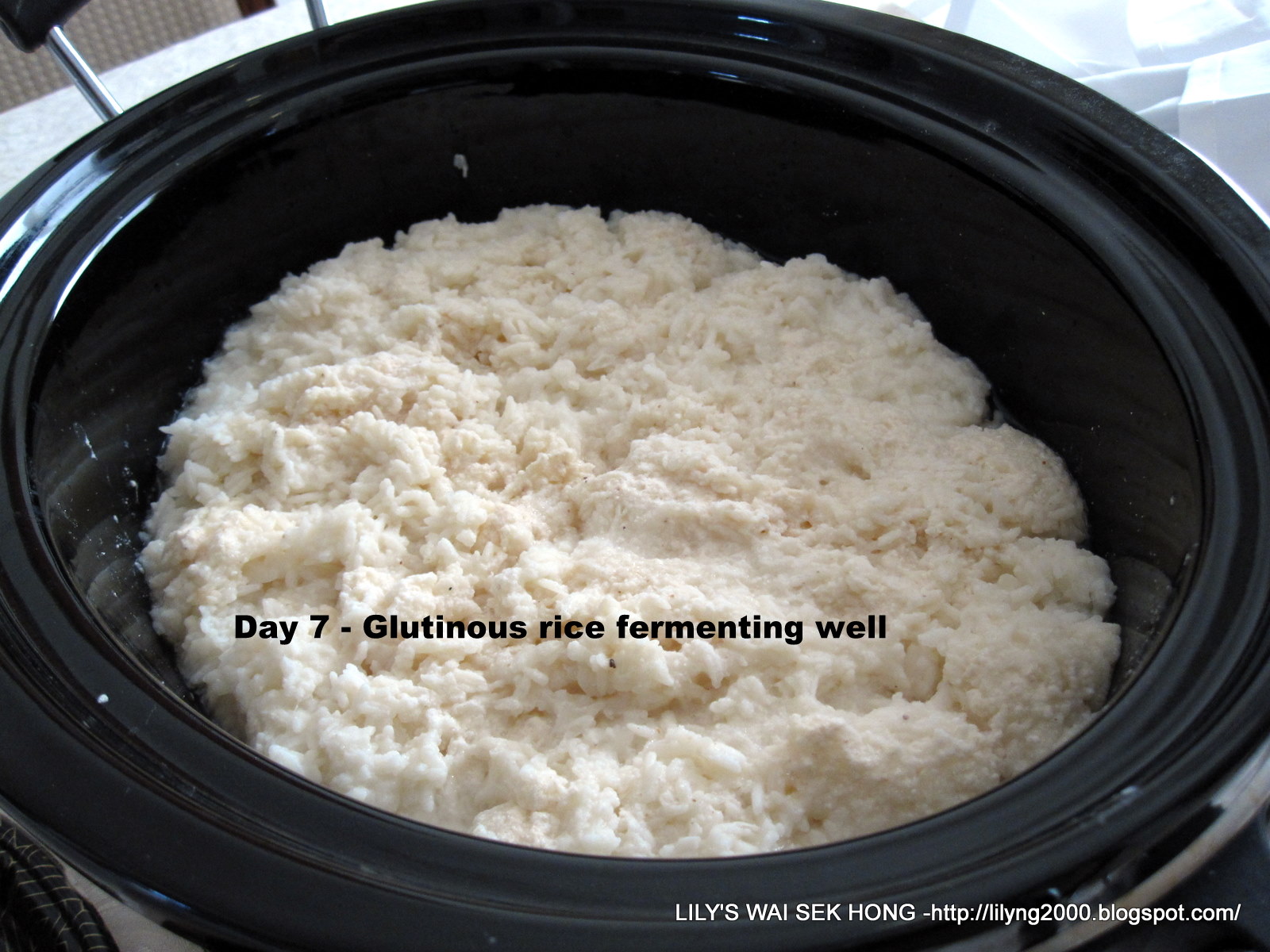 Lily's Wai Sek Hong Home Brewing Glutinous Rice Wine