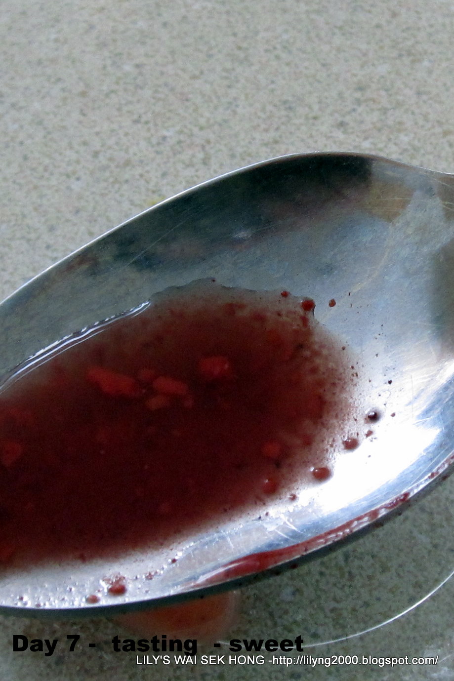 Lily's Wai Sek Hong Home Brewing Glutinous Rice Wine