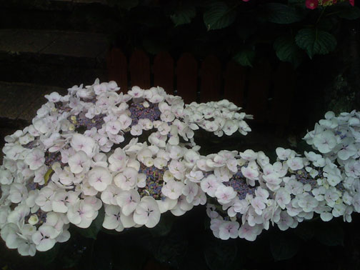 [0605-03.jpg]
