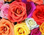 poze 8 martie