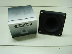 Nest Amp NX10