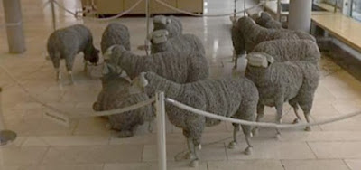 Telephone Sheep - Telefonschafe