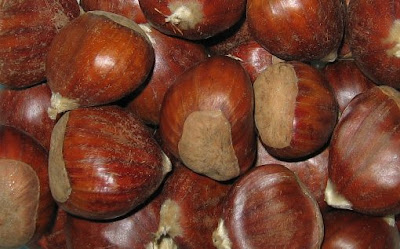 Foto de Paulo Freixinho: Castanhas