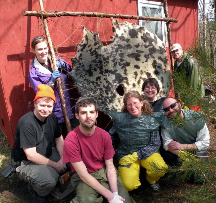 [hooded seal group shot.jpg]