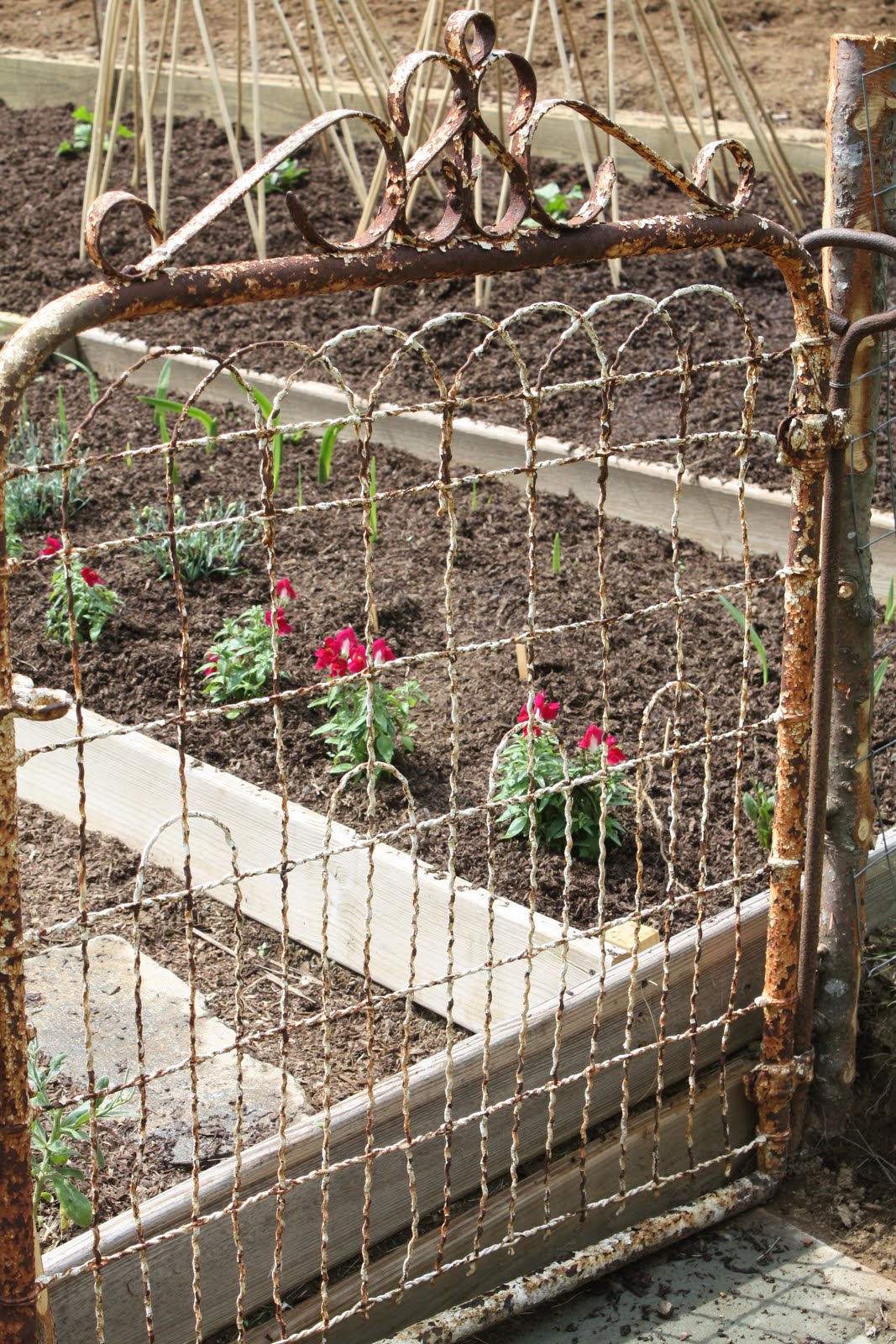 Pin on Garden Ideas