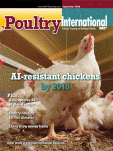 Poultry International