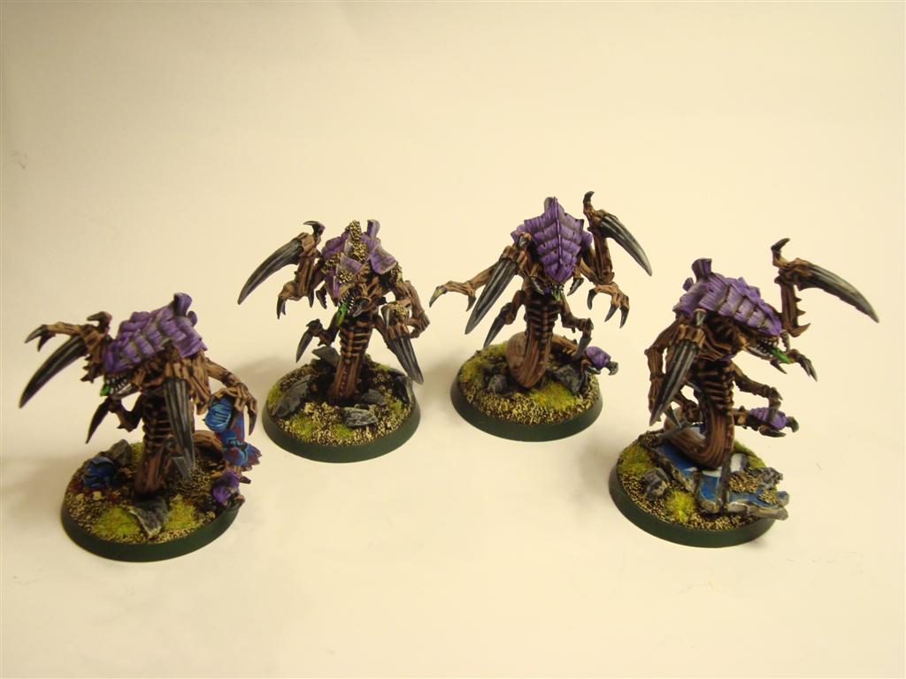 [RavenerFront.JPG]