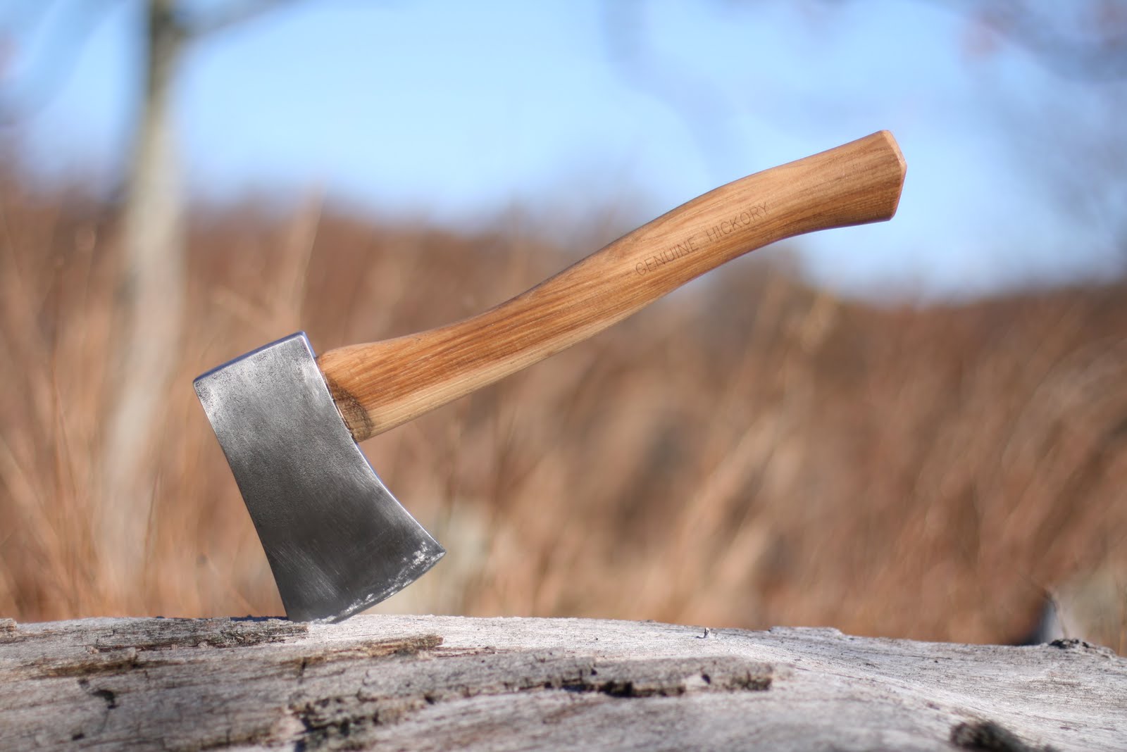 Wood Trekker Northern Tool 24oz Camp Axe Review