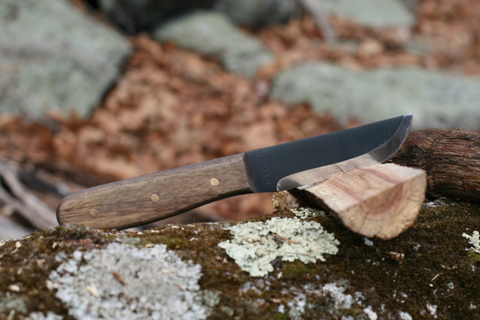Wood Trekker Condor Bushcraft Basic Knife Review
