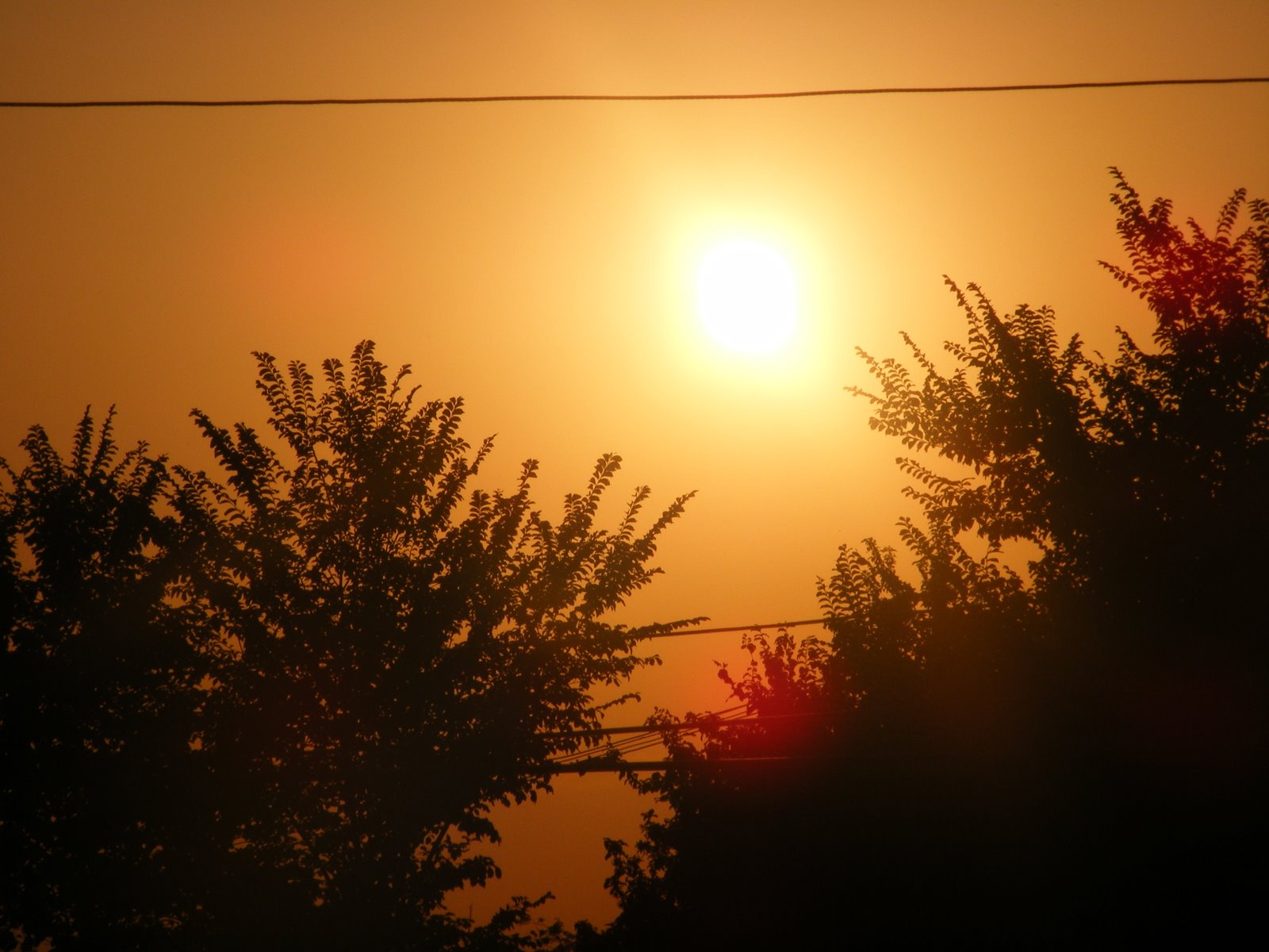 [2009_07270014.JPG]