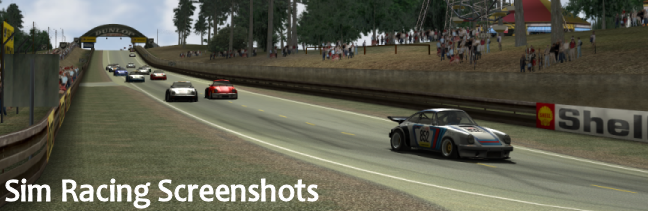 Sim Racing Screenshots