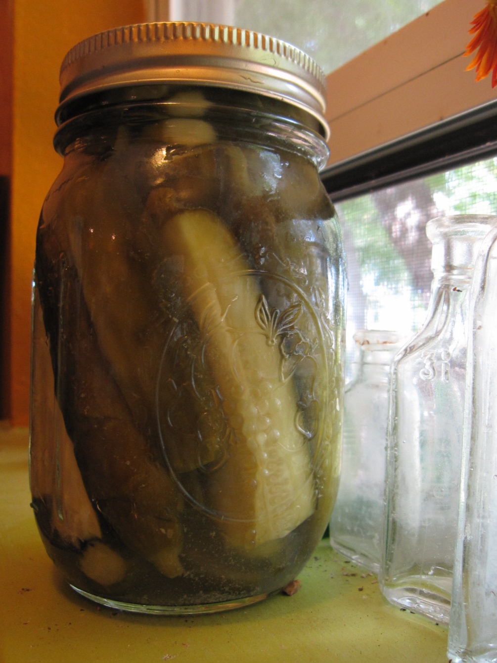 An Austin Homestead Pickles 2 Results