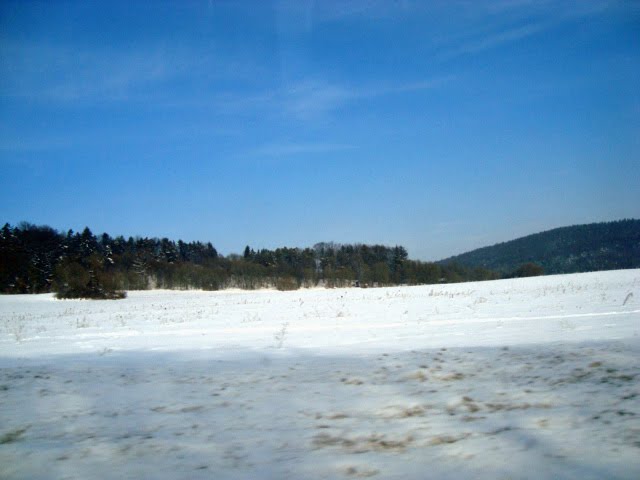 [Feb.15-17,2010.winter.flowerstoom.sony009_edited.JPG]