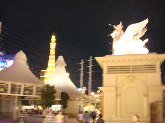 [05.15.08lasvegas+756.jpg]