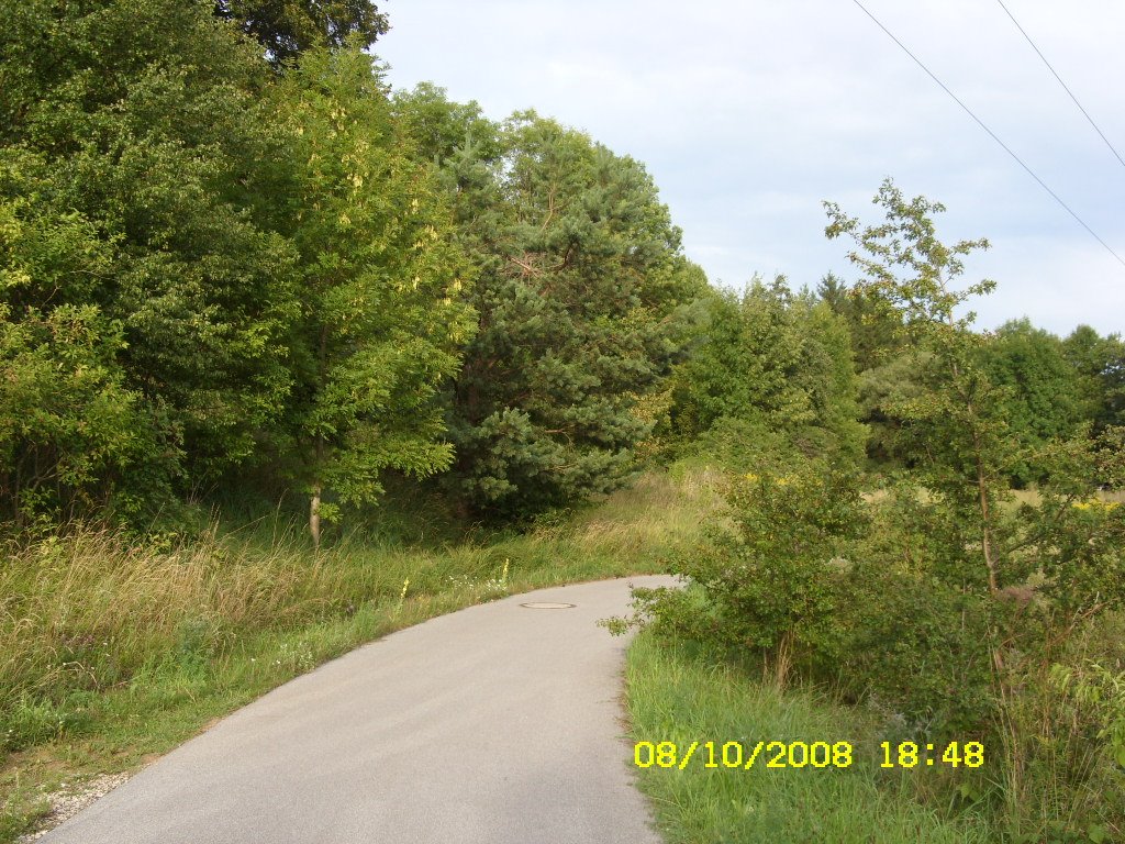 [aug8-9,2008079.JPG]