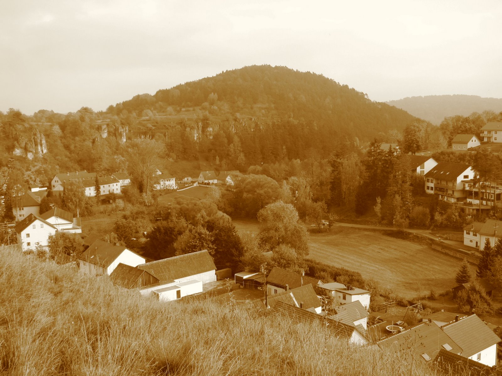 [Oct.12,2008canon073.JPG]