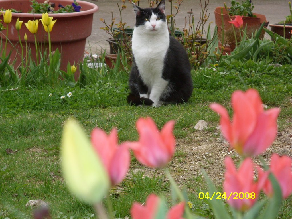 [April242008-hohenfels173.JPG]