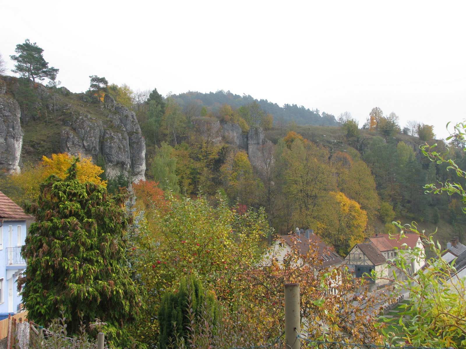 [Oct.12,2008canon273.JPG]