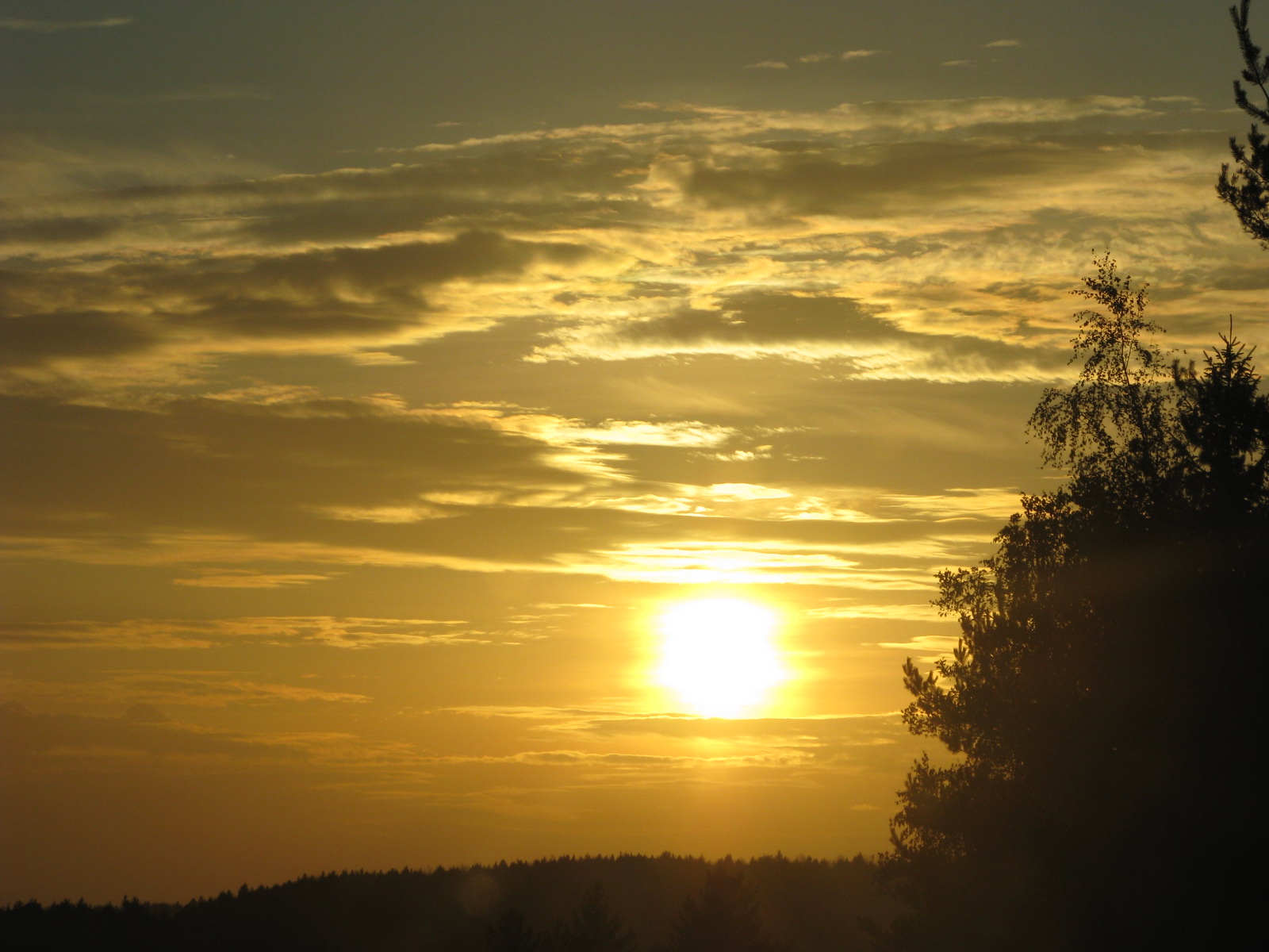 [Oct.+21,2008canon063.JPG]