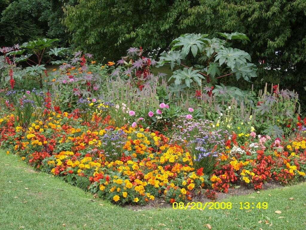 [Aug.20,2008-regensburg155.JPG]