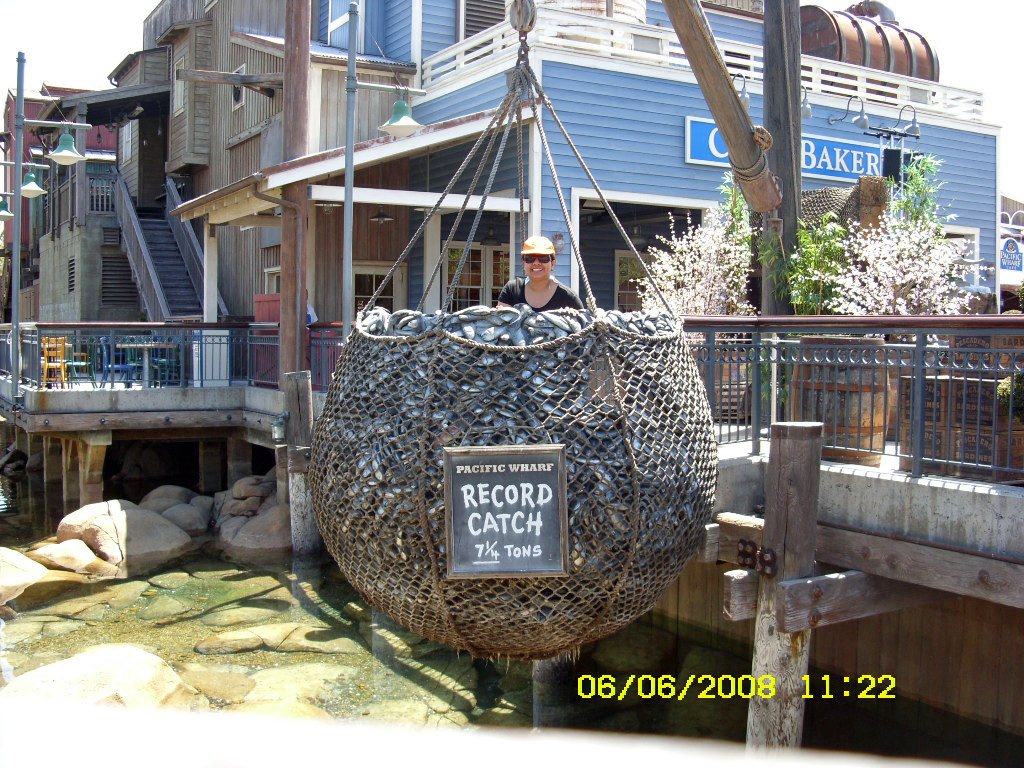 [Disney-June08268_edited.JPG]