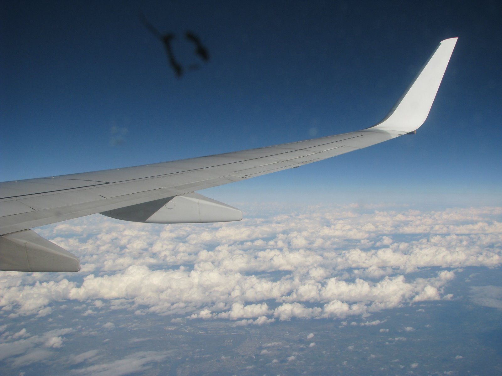 [ruby-brmngham10.28.08canon+115.jpg]