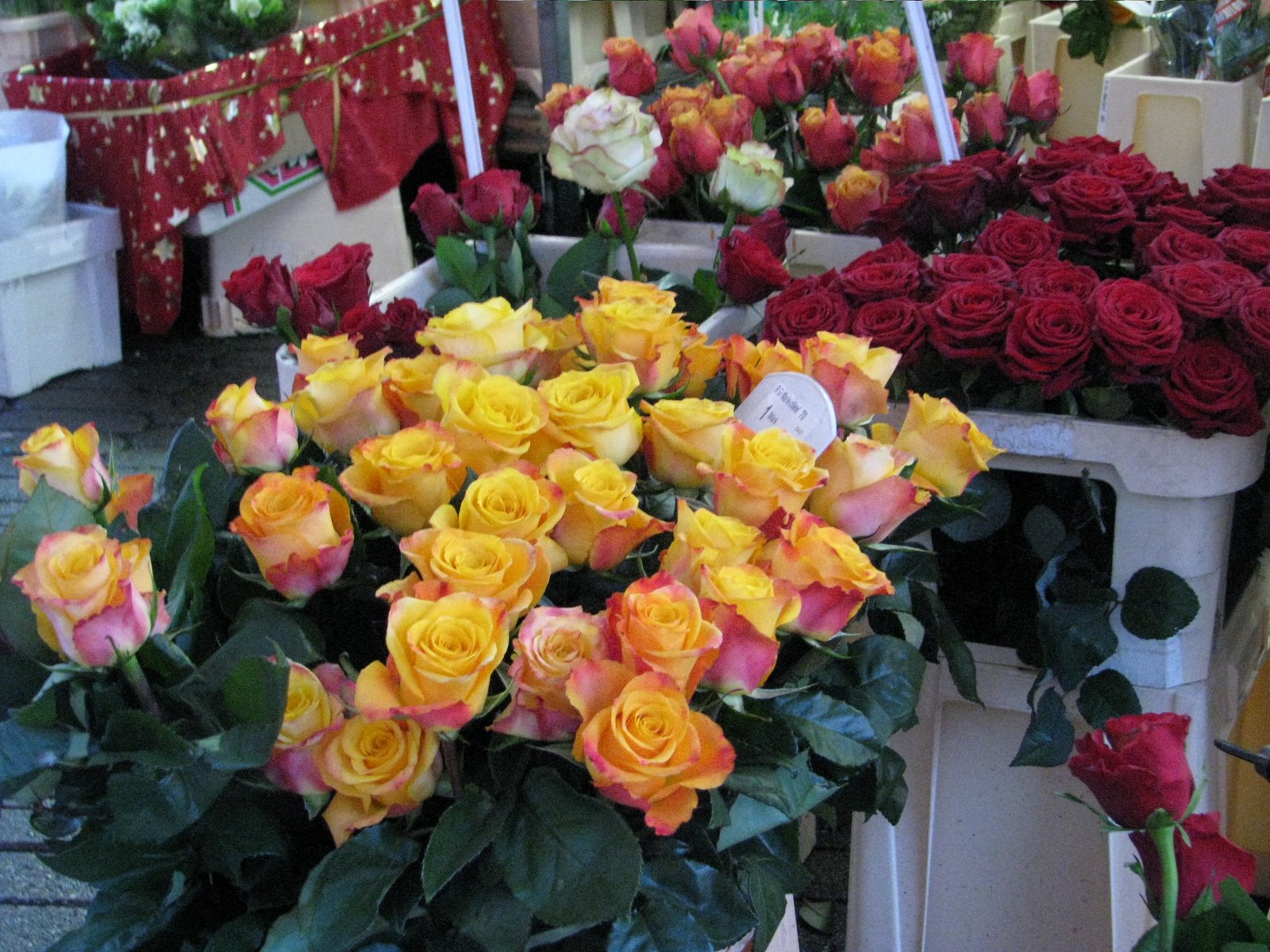 [Dec.22,2008nrnberg112.JPG]