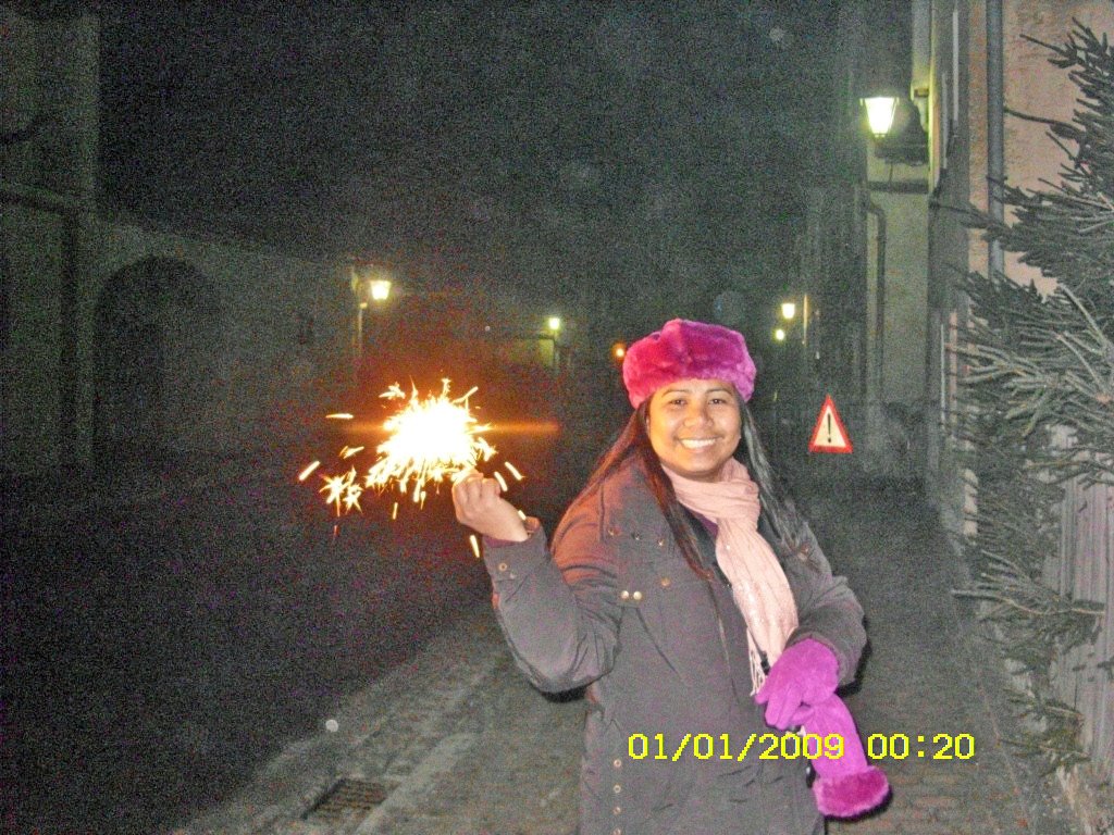 [Jan.01,2009023_edited.JPG]