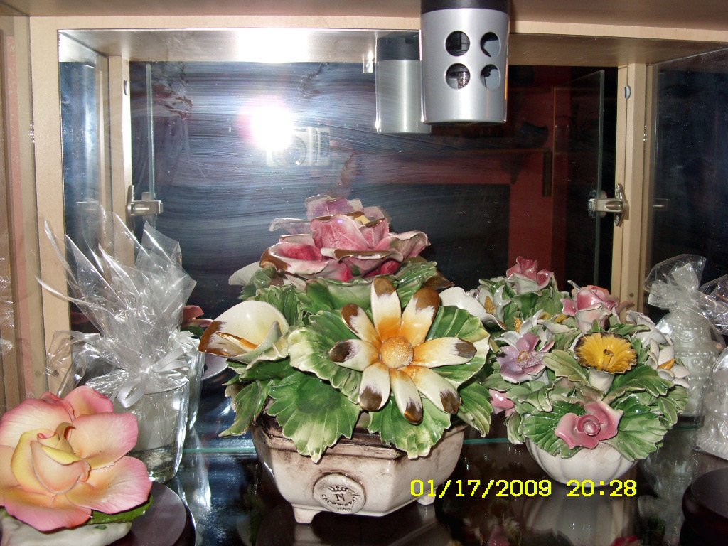 [Feb11-17,2009011_edited.JPG]