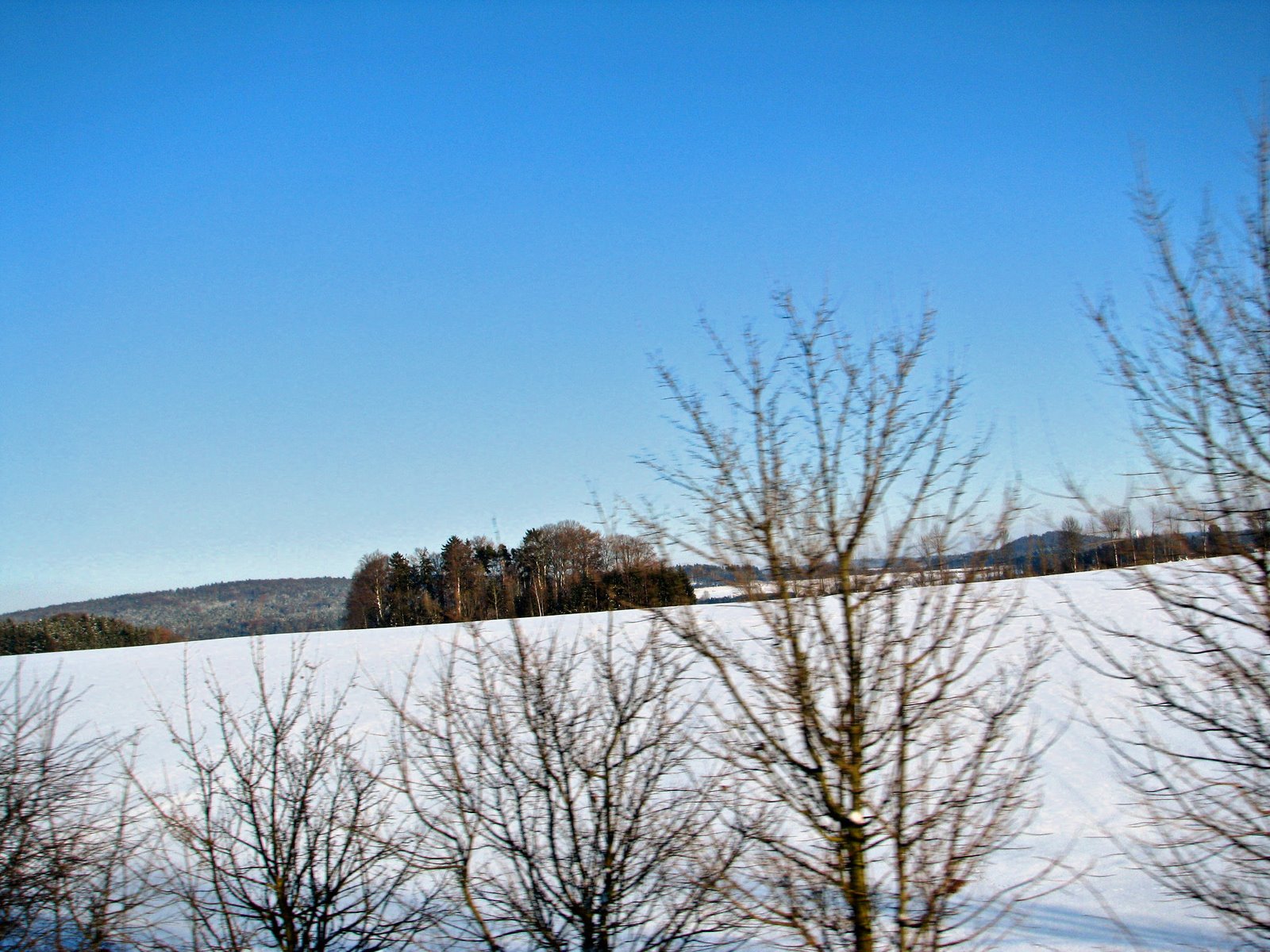 [Feb.19,2009Fasching,dietfurt-canon1112_edited.JPG]