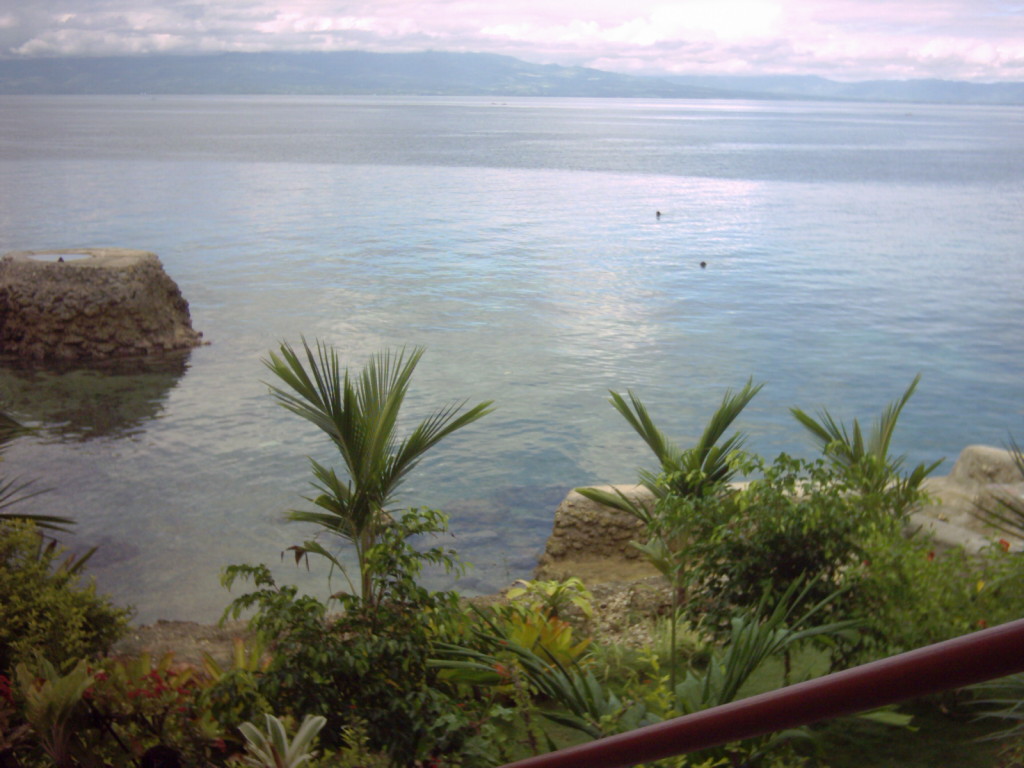 [DSCW0064.JPG]